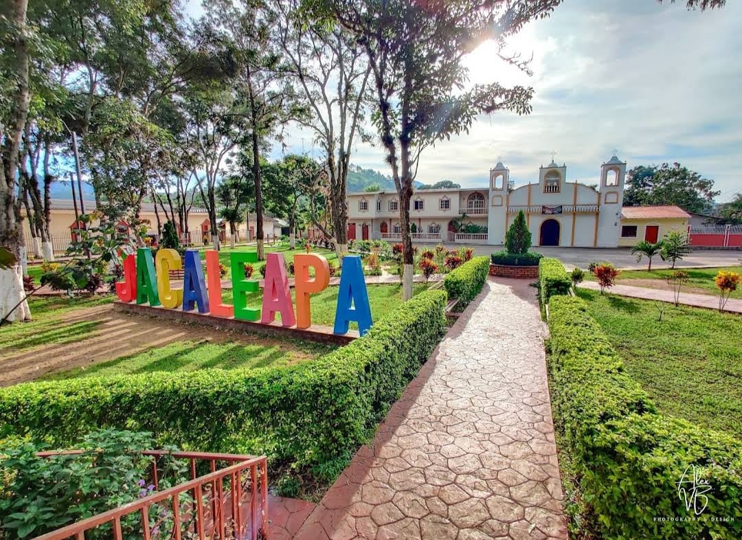 jacaleapa